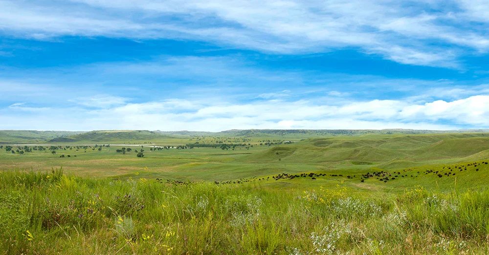 Open prairie landscape with rolling green hills